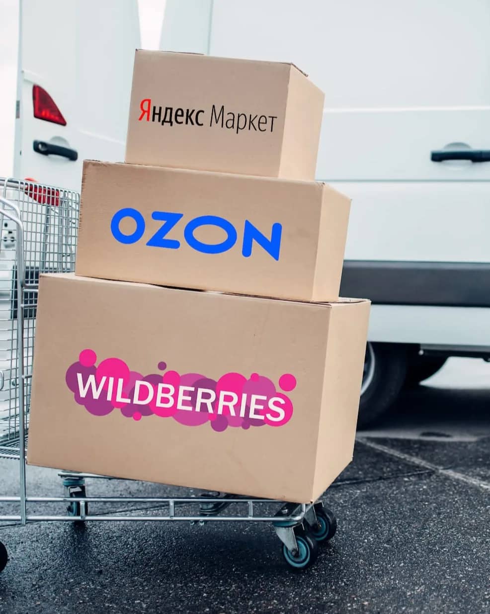 Портрет человека